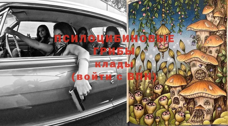 Галлюциногенные грибы Magic Shrooms  Апатиты 